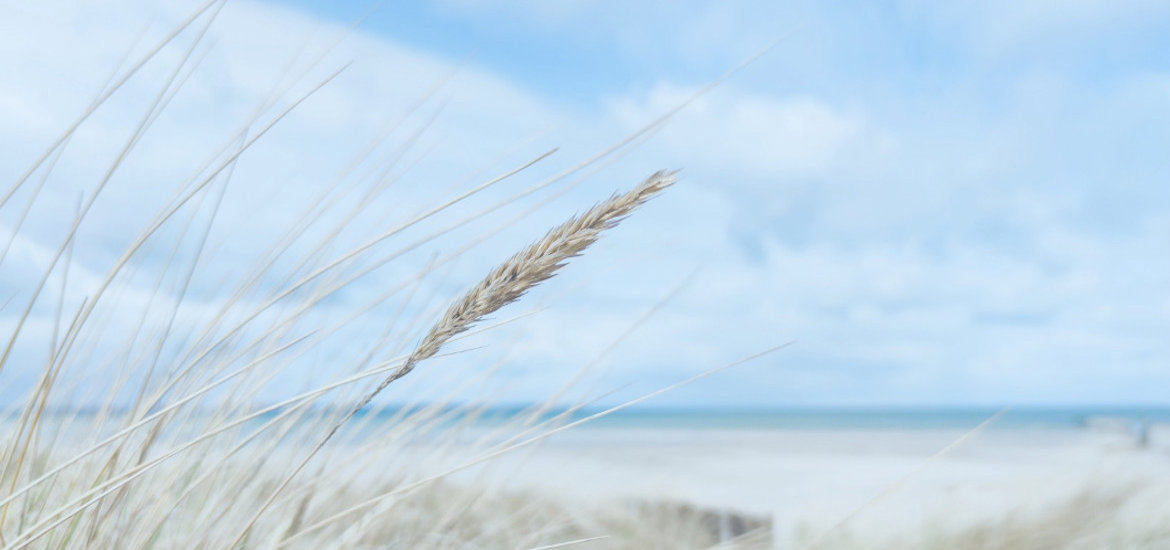 Cornish Seaweed Bath